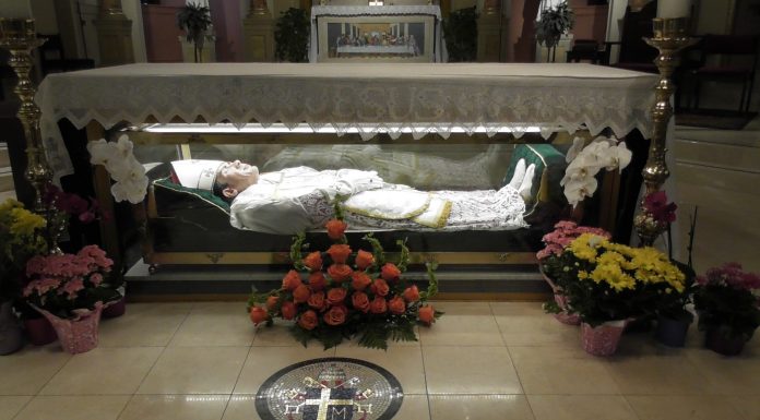 5 gennaio: San Giovanni Nepomuceno Neumann San Giovanni Neumann